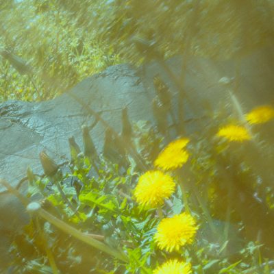 DSCF1235-10